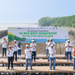 PT Tracon taman 500 bibit mangrove