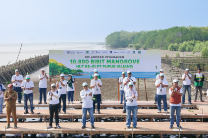 PT Tracon taman 500 bibit mangrove
