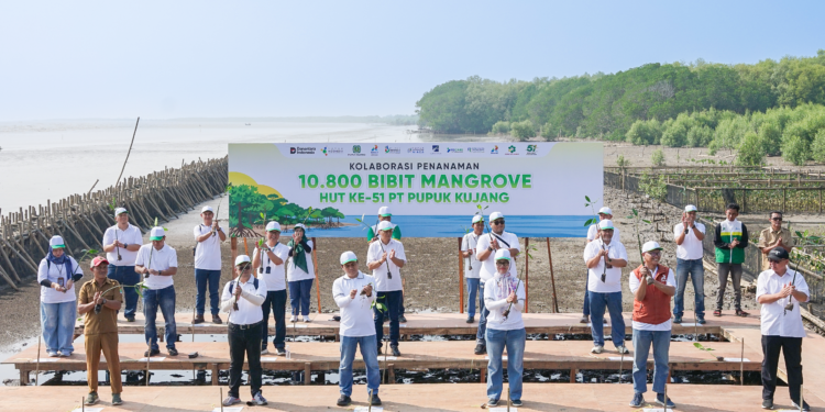 PT Tracon taman 500 bibit mangrove