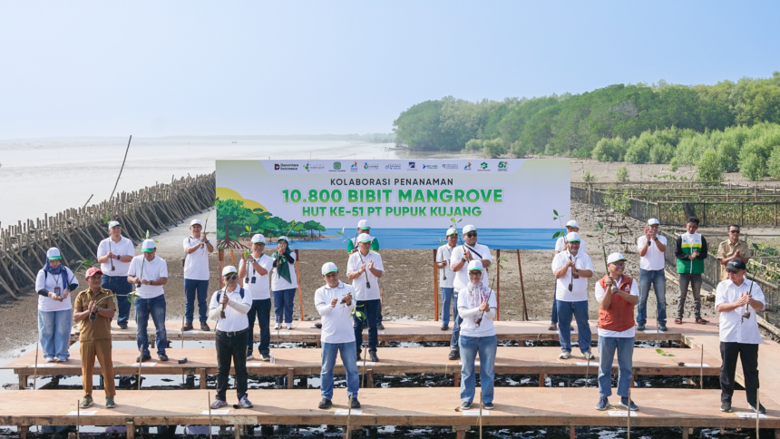 PT Tracon taman 500 bibit mangrove